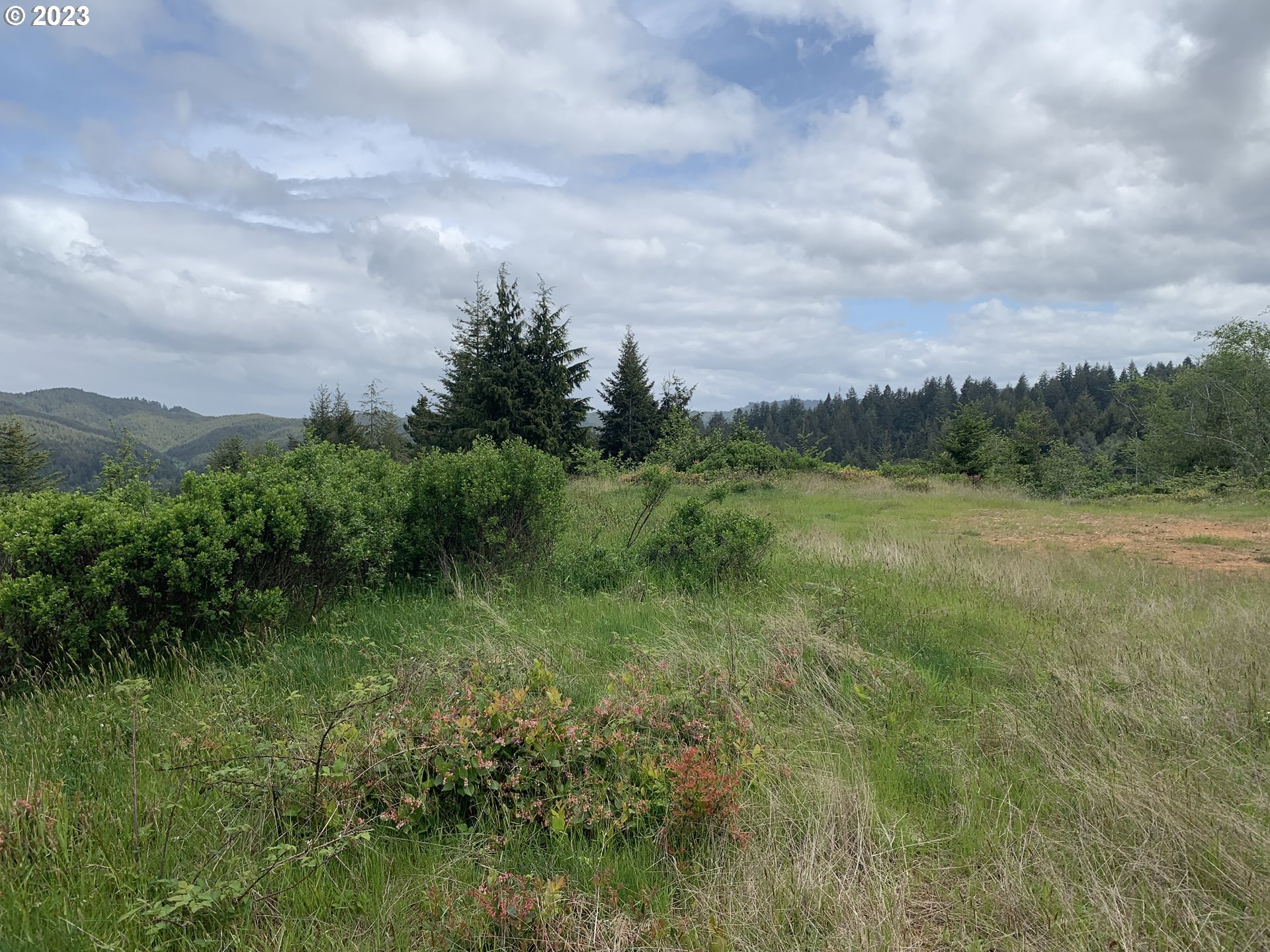 0 Chestnut Road North Bend, OR 97459 - Photo 14 of 15 Gallery Image 14