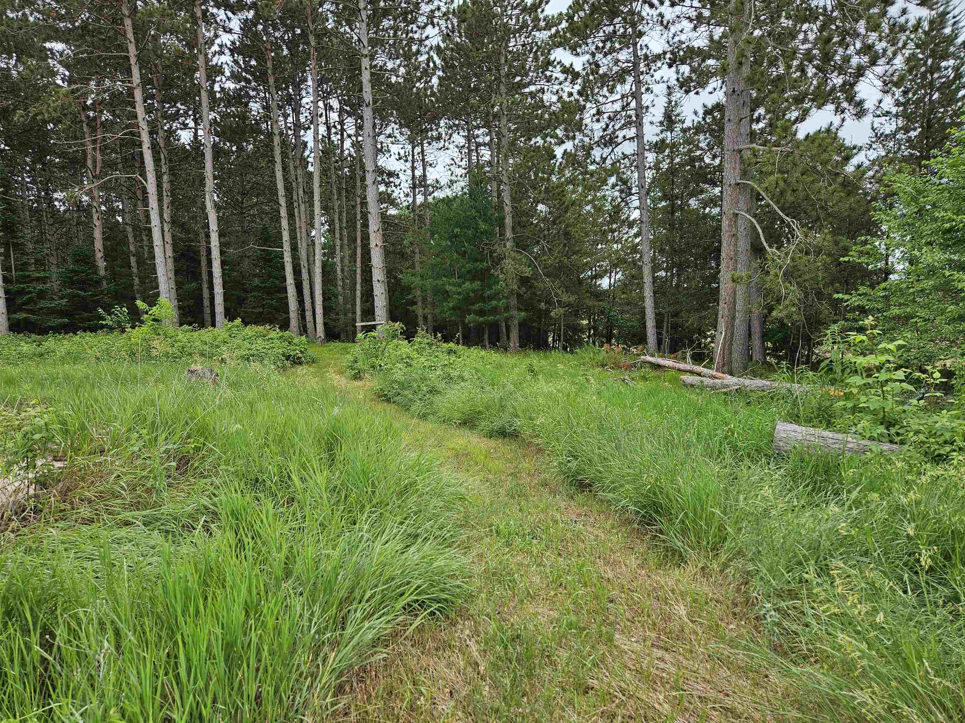 2988 Cedar Road Rosholt, WI 54473 - Photo 1 of 1 Gallery Image 1