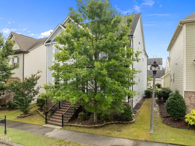 a view of a yard of plants