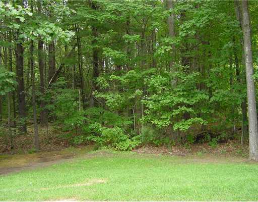 110 Cascade Road Old Orchard Beach, ME 04064 - Photo 4 of 16 Yard/Garden.