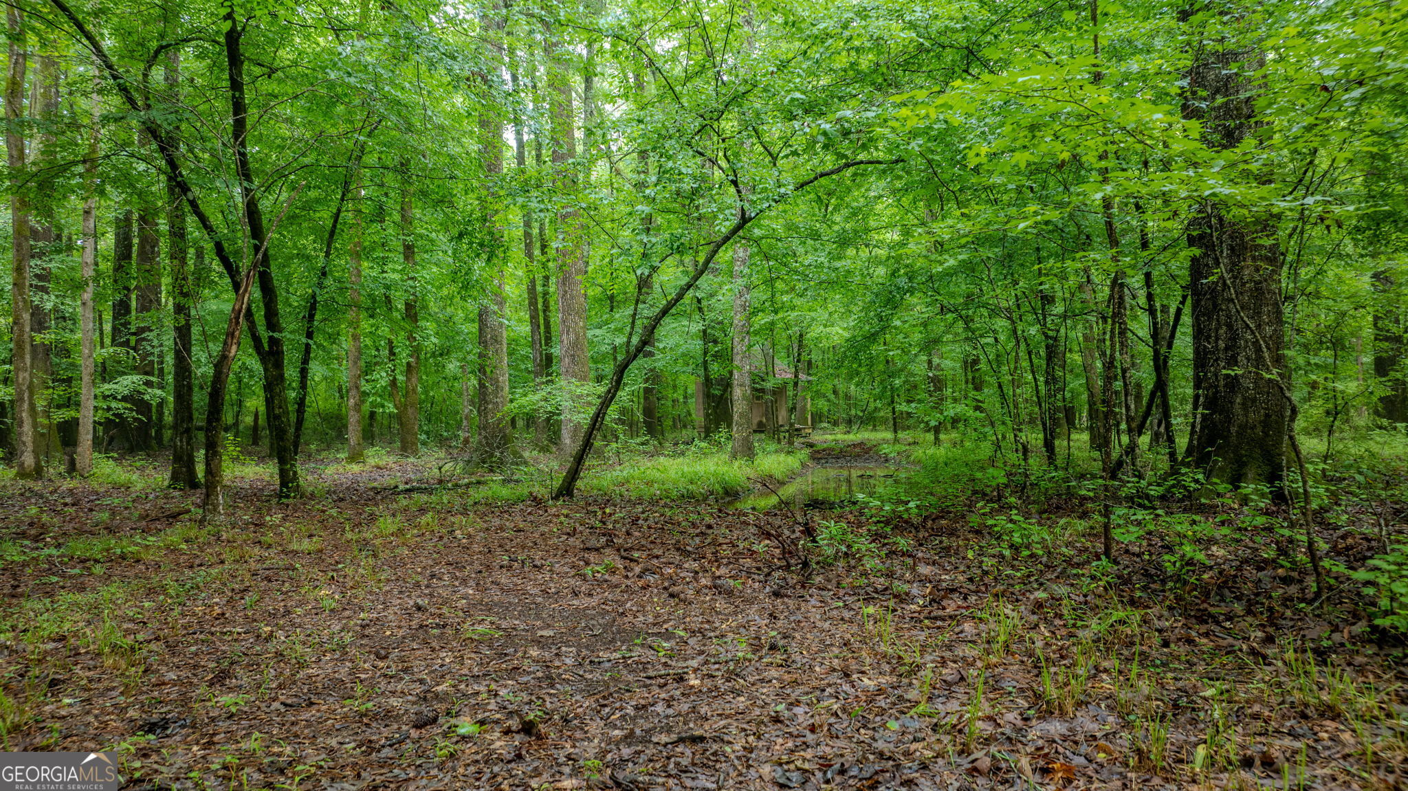 699 Bankstown Road Brooks, GA 30205 - Photo 105 of 122