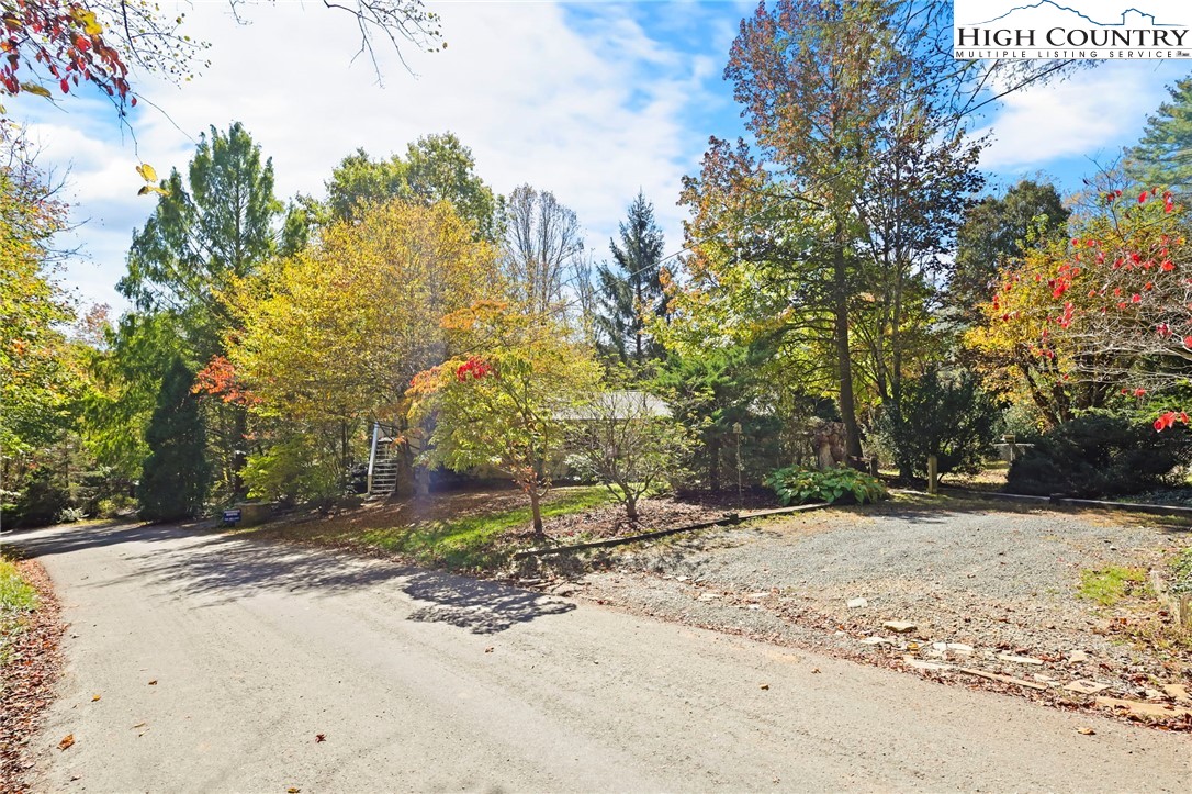 455 Boulder Gardens Road Banner Elk, NC 28604 - Photo 8 of 36