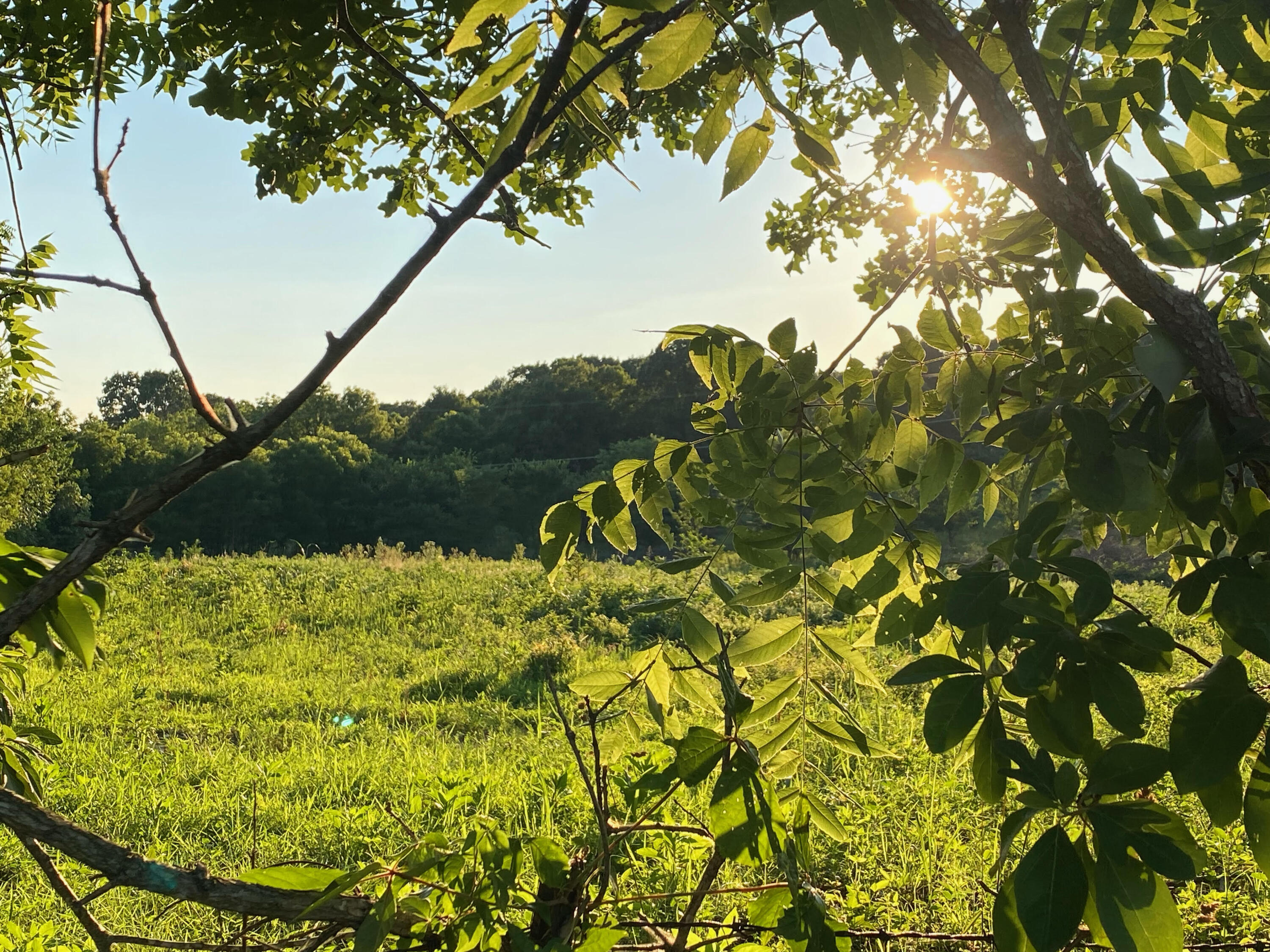 0 South Shamrock Road Nixa, MO 65714 - Photo 1 of 1 unnamed (1)