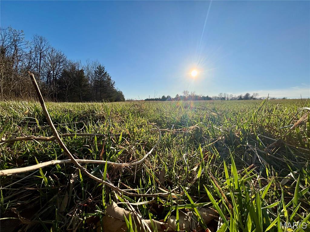 3 Glen Road Wright City, MO 63390 - Photo 9 of 13