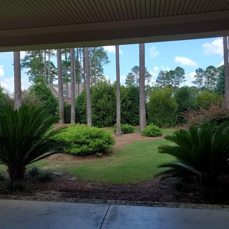 111 Pinyon Pine Loop Aiken, SC 29803 - Photo 38 of 44