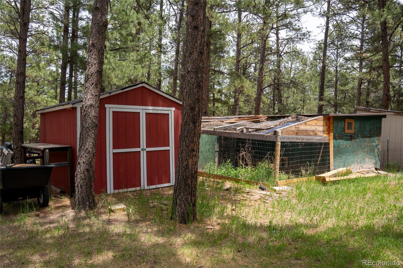 4719 Beaver-Ridge Elbert, CO 80106 - Photo 35 of 48