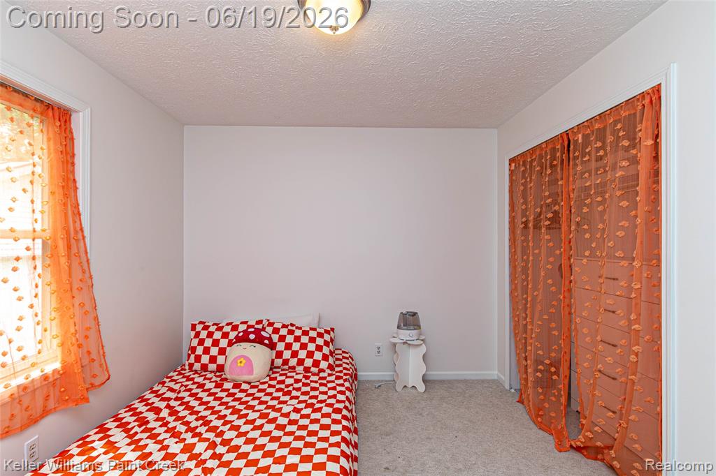 282 Clinton Street Romeo, MI 48065 - Photo 31 of 48