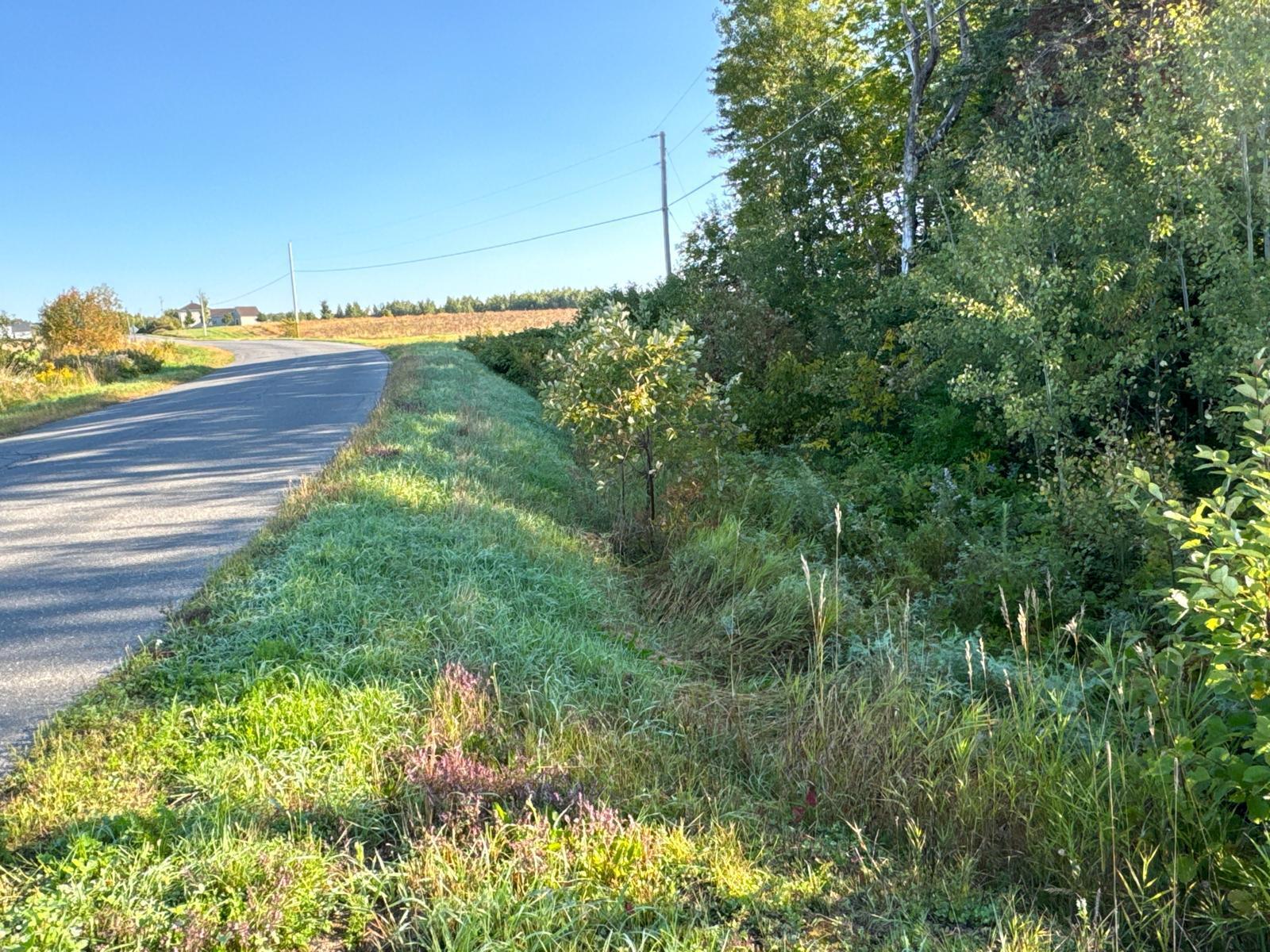 M8-l16 Grendell Road Mapleton, ME 04757 - Photo 3 of 9 Land