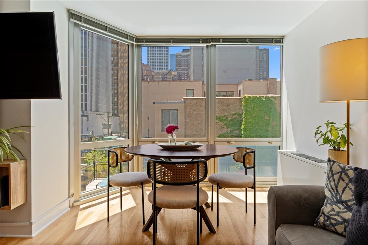 21 West Goethe Street, Unit 4H Chicago, IL 60610 - Photo 9 of 18