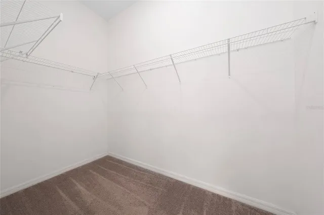 a view of back yard of the house