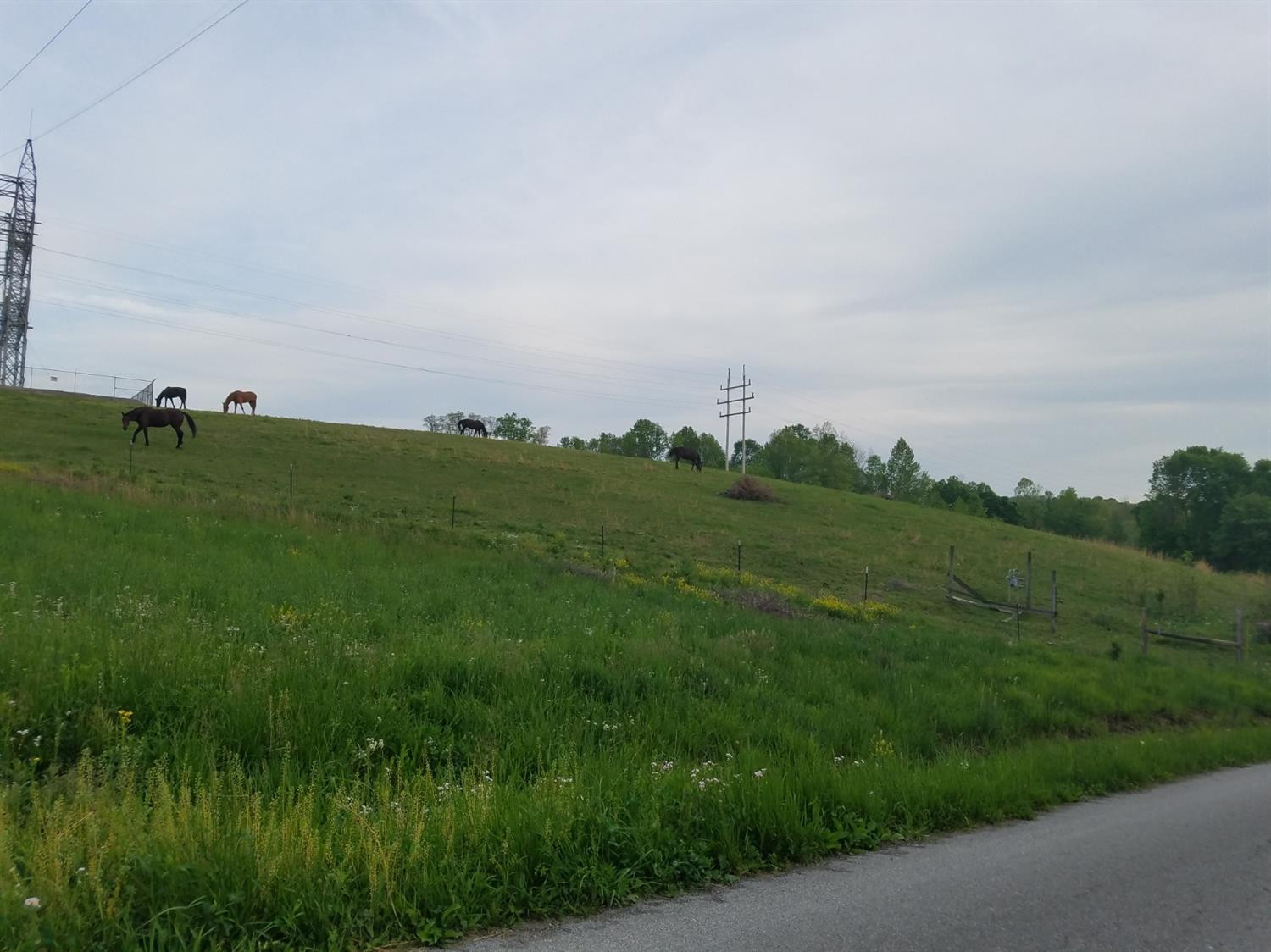 280 Poplar Hill Road Liberty, KY 42539 - Photo 18 of 18 Photo 18