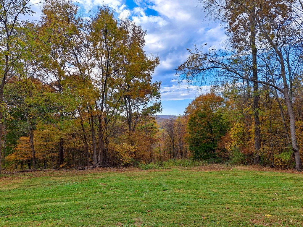 26-acres Tobler Road Rural Retreat, VA 24368 - Photo 16 of 60 Gallery Image 16