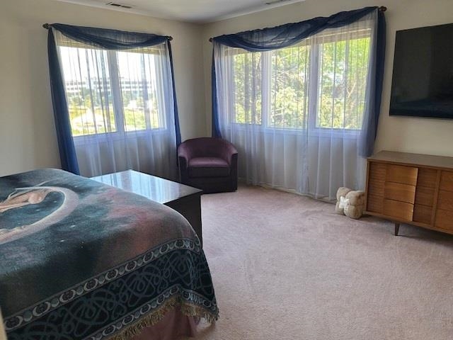 700 10th Street, Unit 12 Secaucus, NJ 07094 - Photo 5 of 13 a bedroom with a bed and a television in it