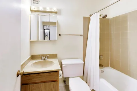 a bathroom with a toilet sink and mirror