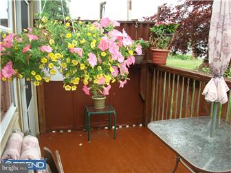 281 Coverly Road Lansdowne, PA 19050 - Photo 6 of 12 Deck