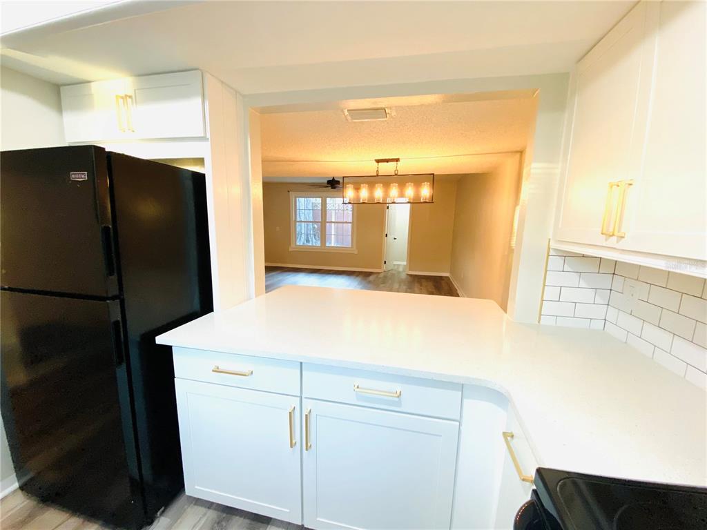 148 Douglas Road West, Unit C Oldsmar, FL 34677 - Photo 6 of 25 a kitchen with a refrigerator and a sink