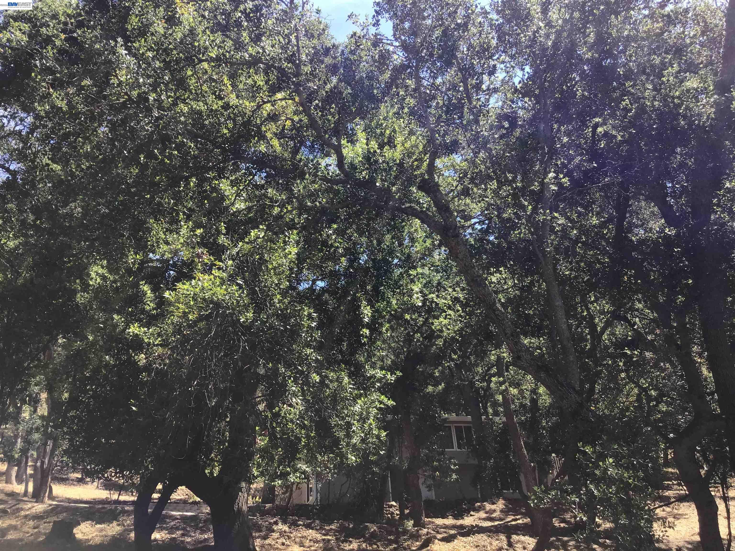 1929 Kilkare Road Sunol, CA 94586 - Photo 31 of 35