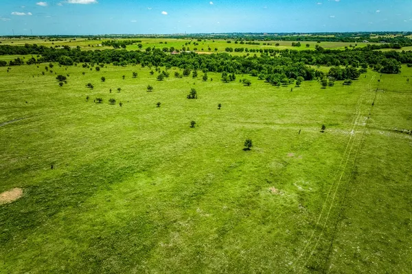 a view of yard with green space
