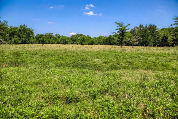 a view of lake with green space