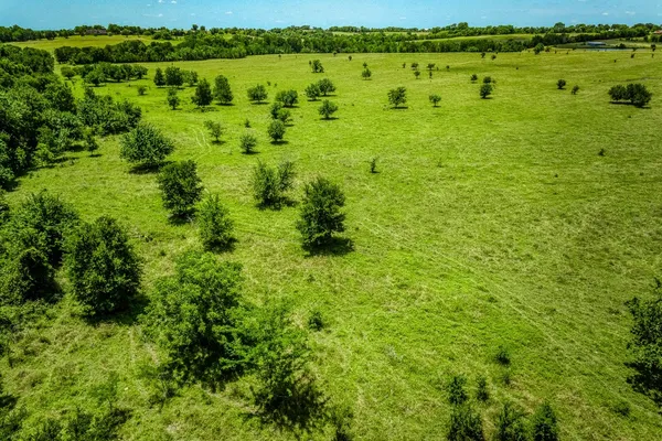 a view of a green field