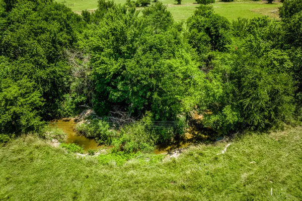 a view of a lush green space