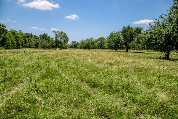 a view of a green field with wooden fence