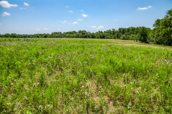 a view of an outdoor space and a yard
