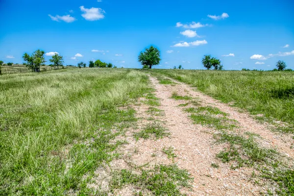 a view of a big yard with lots of green space and mountain view
