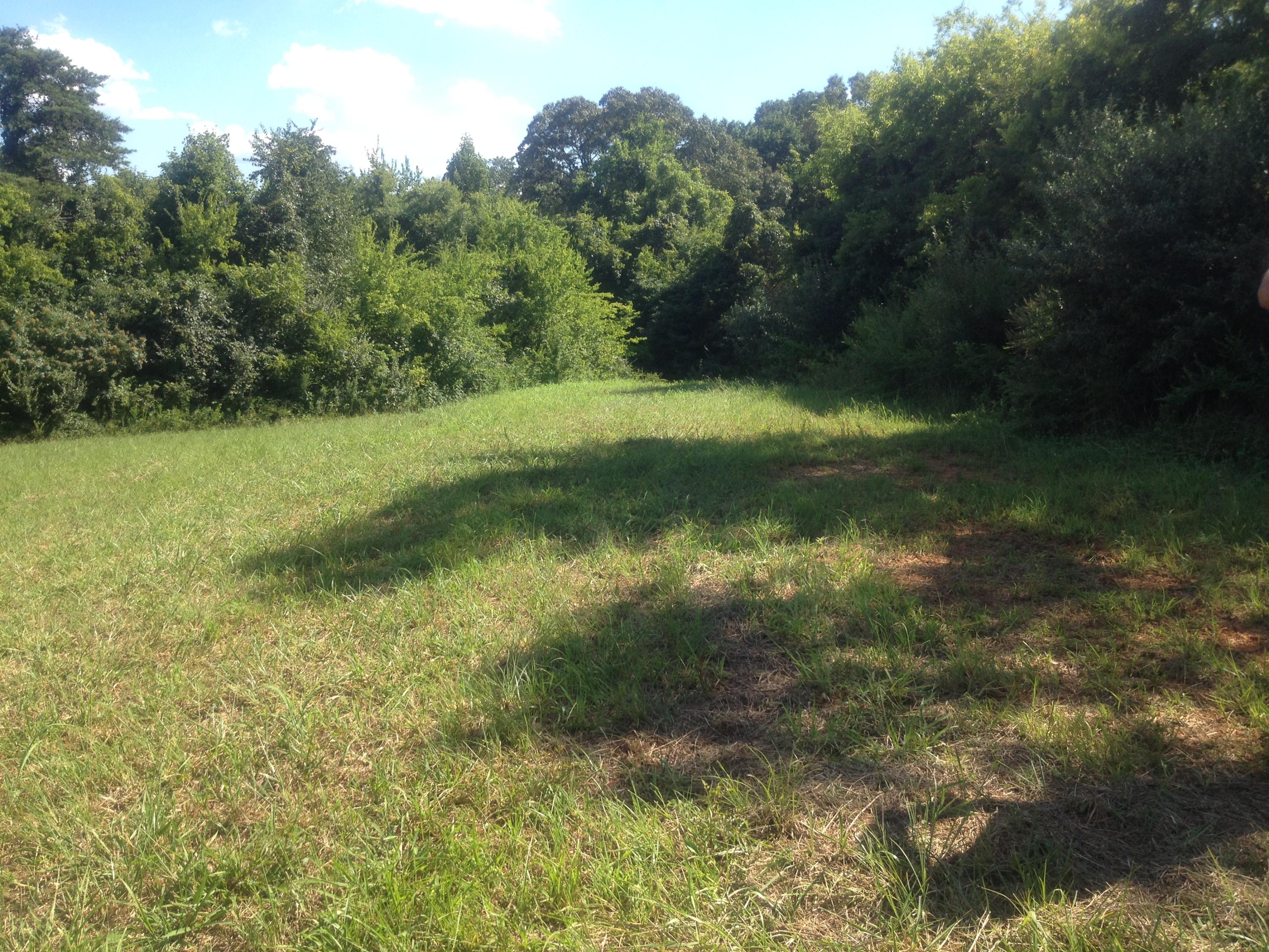 0 Sockless Road, Unit 4 2 Dandridge, TN 37725 - Photo 3 of 4 Back area larger lot