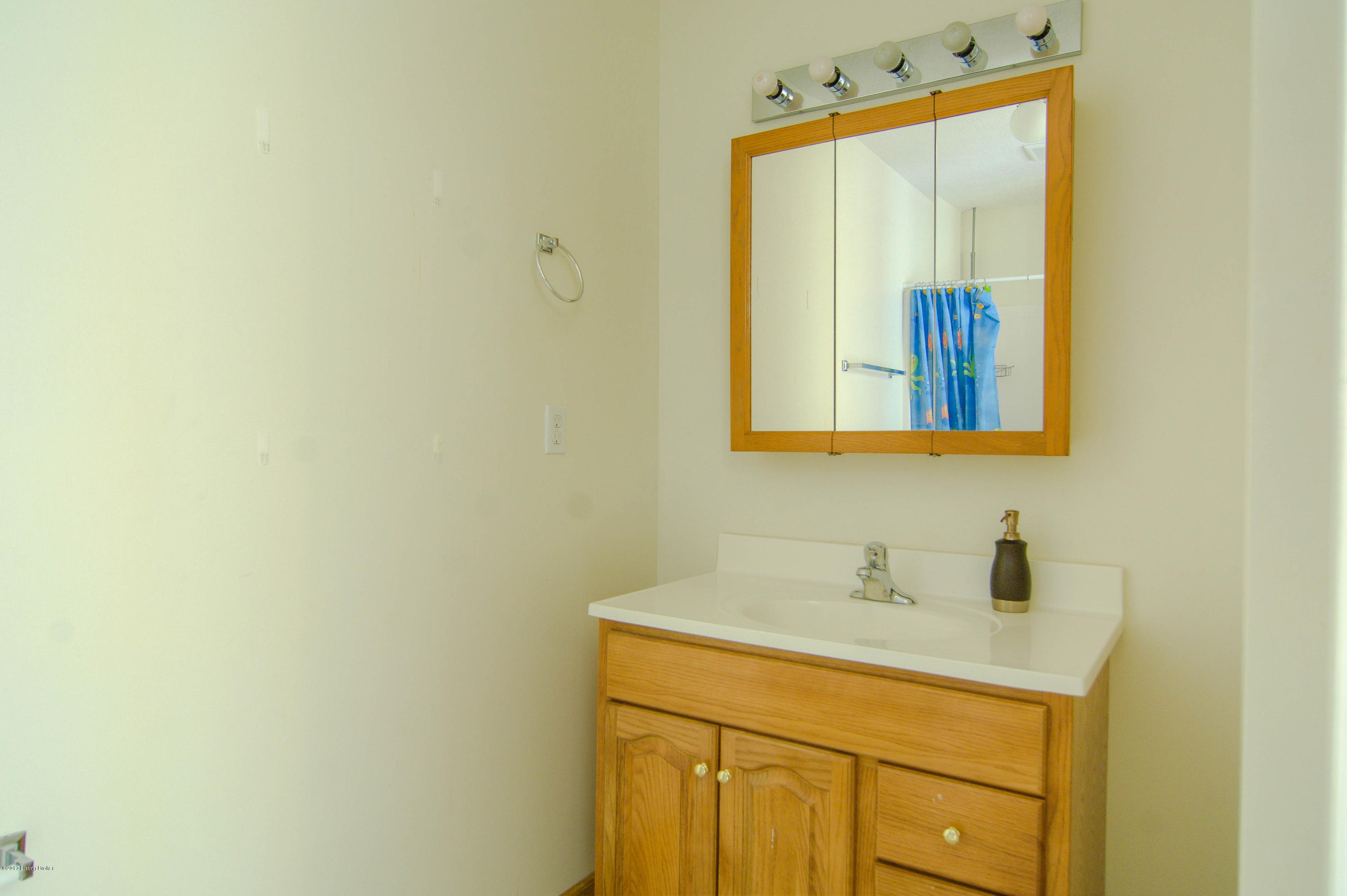 385 Ritchie Drive Brandenburg, KY 40108 - Photo 14 of 33 325-13