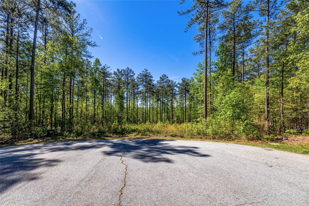 Lot E-29 Pine Ridge Way Salem, SC 29676 - Photo 3 of 11 Mature trees frame this expansive lot, offering natural seclusion and a serene setting for a future home.
