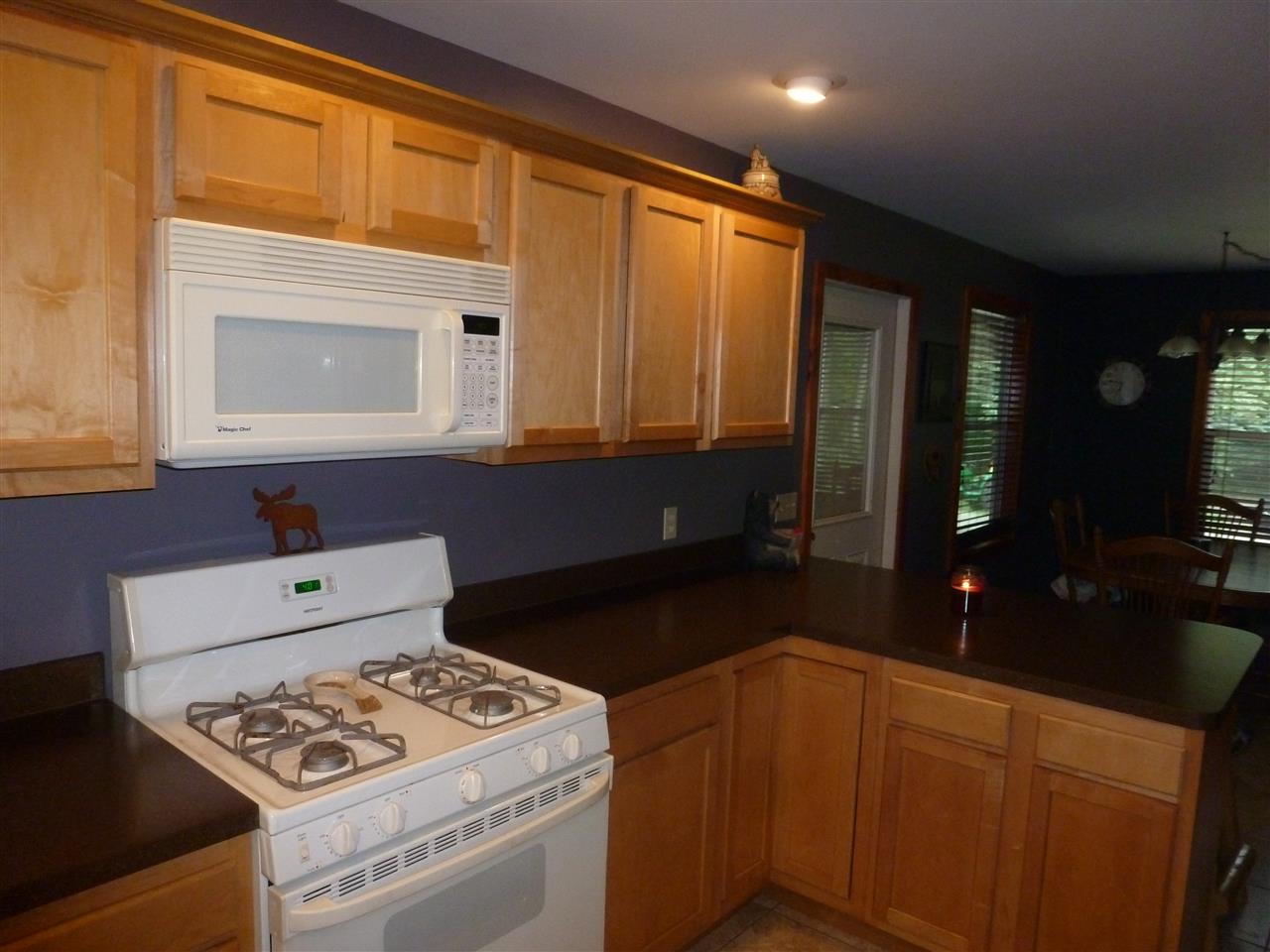 7780 Flynn Road Mancelona, MI 49659 - Photo 16 of 30 1877153-16.JPG