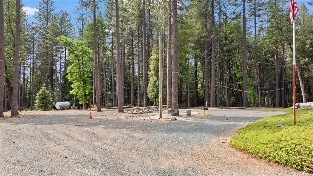 6231 Merry Way Clipper Mills, CA 95930 - Photo 9 of 60 a backyard of a house with trees and outdoor seating