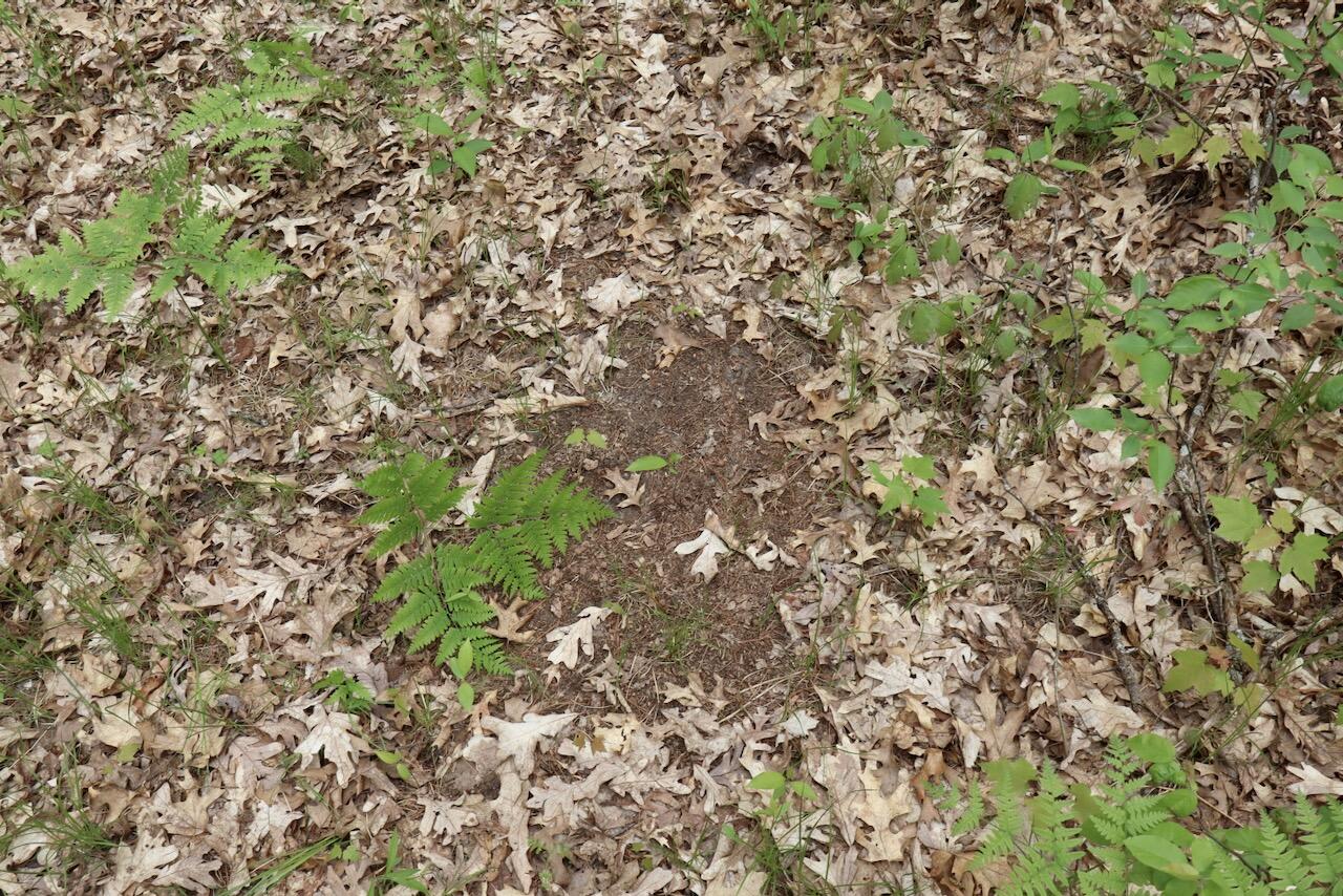 6153 South Branch Road Branch, MI 49402 - Photo 24 of 70 22
