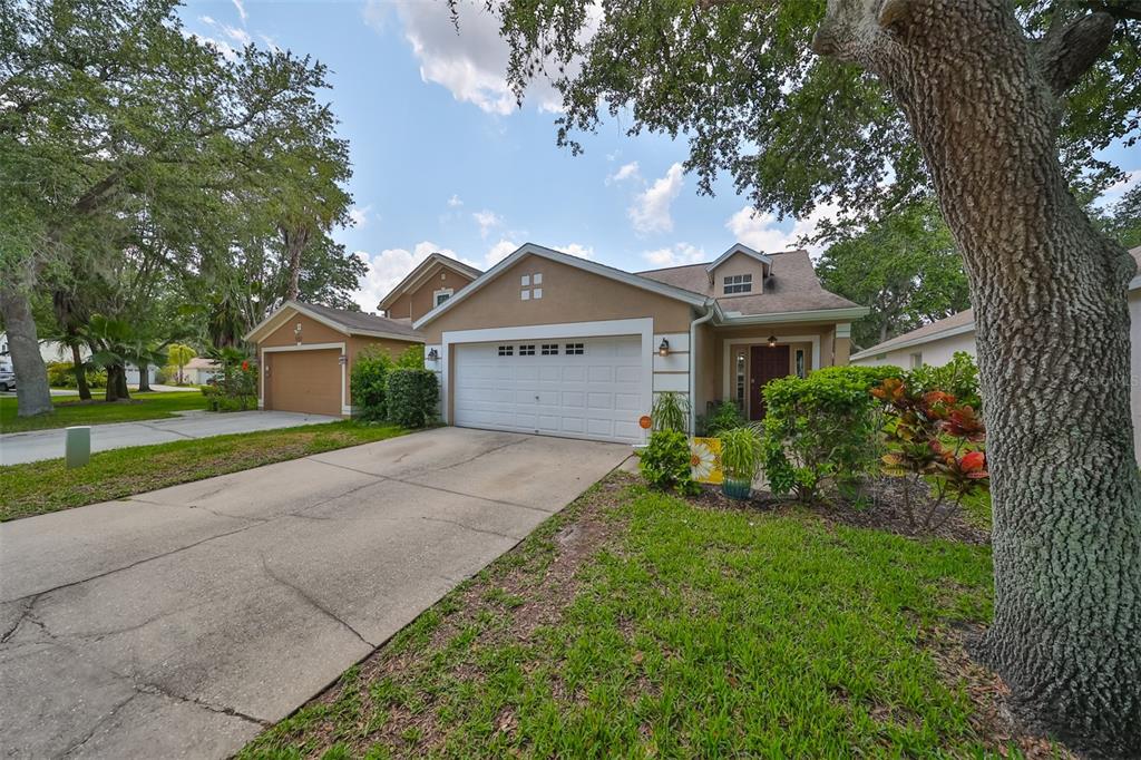 5725 Tanagerlake Road Lithia, FL 33547 - Photo 1 of 1 Gallery Image 1
