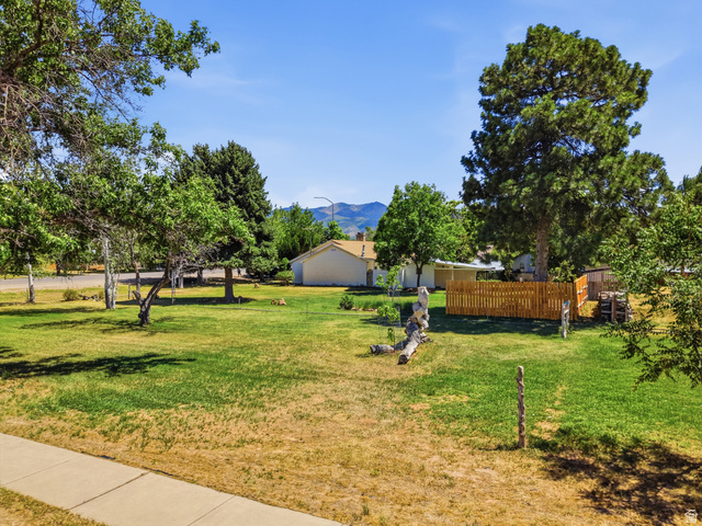 365 North Main Street Fillmore, UT 84631 - Photo 6 of 51 Expansive lawn area featuring mature trees and a partial wood privacy fence