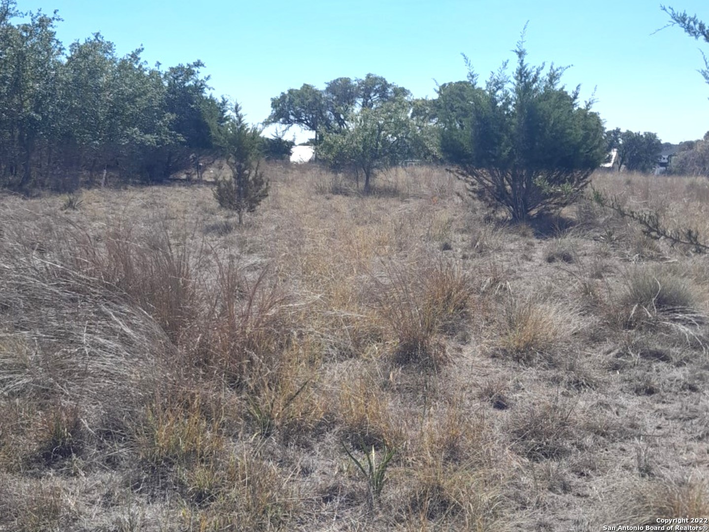 232 Hiram Cook Blanco, TX 78606 - Photo 3 of 5 a view of a dry field