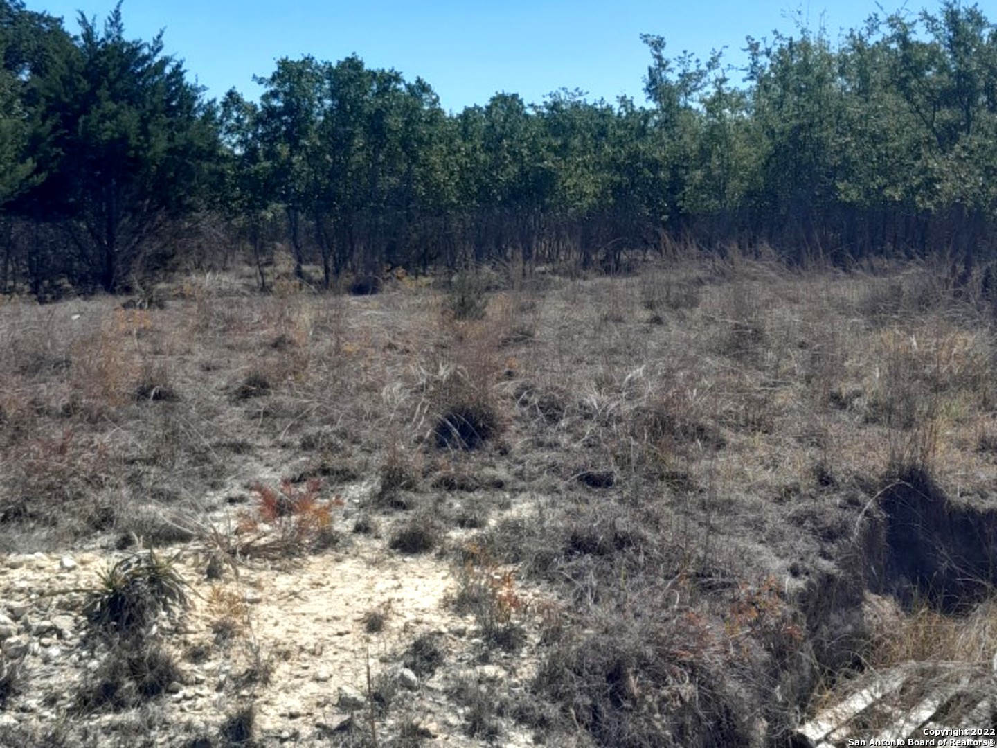 232 Hiram Cook Blanco, TX 78606 - Photo 5 of 5 a view of a forest with trees in the background