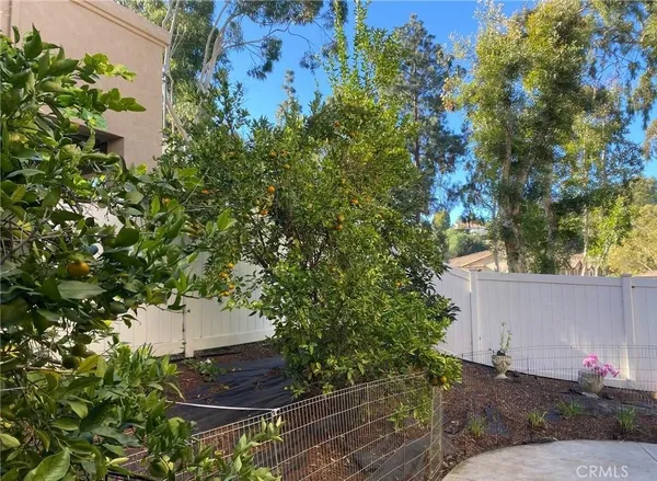 $4,500 | 357 South San Vicente Lane, Anaheim Hills, CA 92807