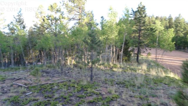 1353 Rangeview Road Divide, CO 80814 - Photo 3 of 10 Gallery Image 3