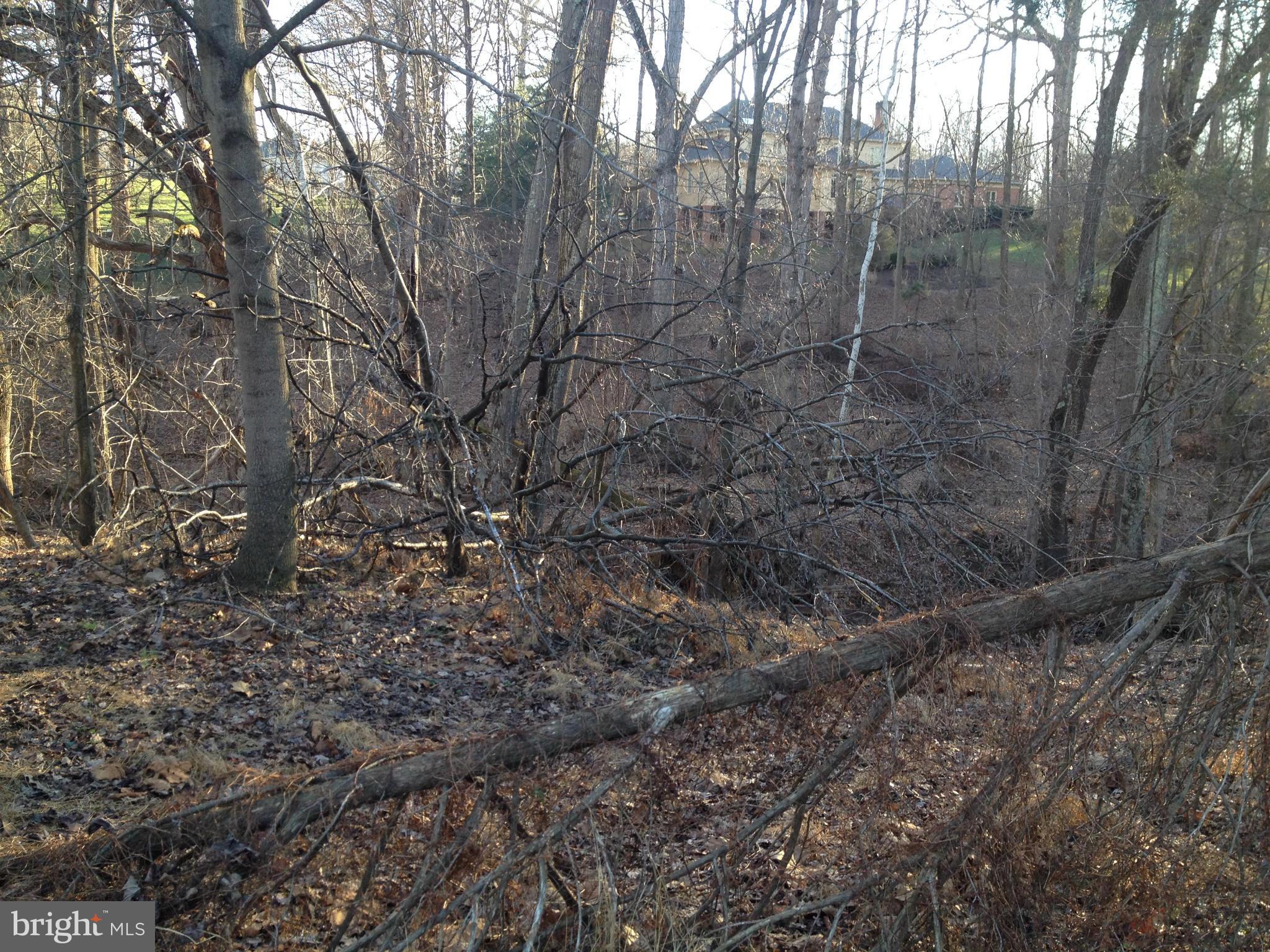 13325 Query Mill Road North Potomac, MD 20878 - Photo 4 of 4 Serene Setting: Forest and Creek