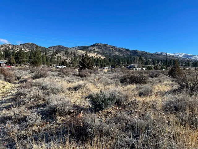 a view of a dry yard with green space