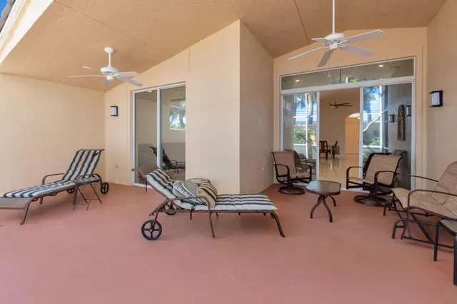a view of a backyard with plants and garden