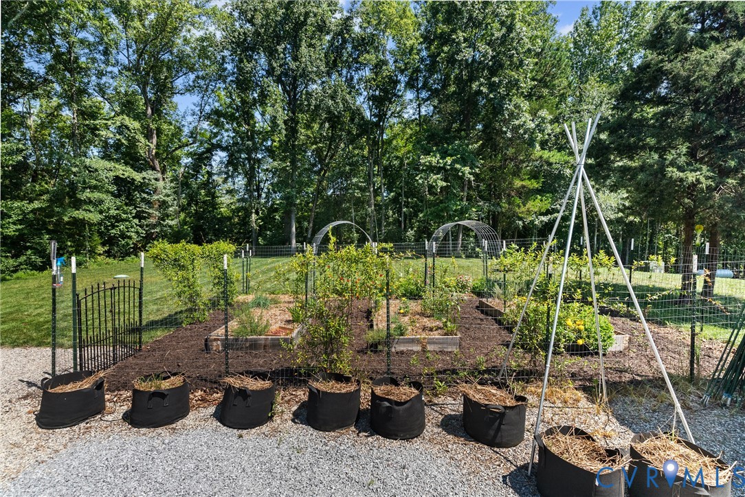 3763 Old Ridge Road Farmville, VA 23901 - Photo 42 of 44 View of yard with a garden and view of scattered t