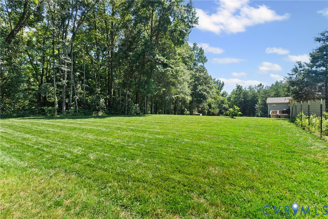 3763 Old Ridge Road Farmville, VA 23901 - Photo 43 of 44 View of grassy yard