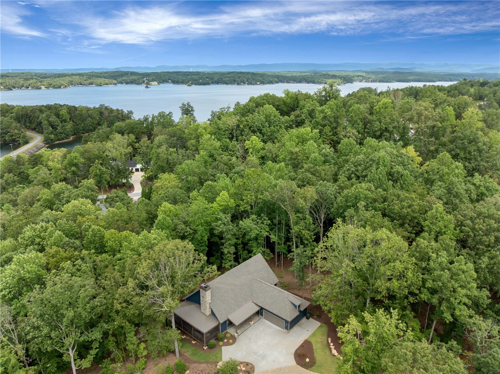 104 Windy Knob Trail Six Mile, SC 29682 - Photo 47 of 50