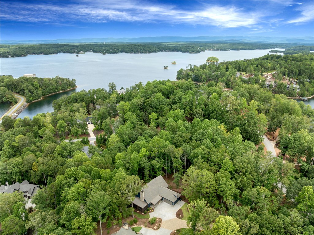 104 Windy Knob Trail Six Mile, SC 29682 - Photo 48 of 50