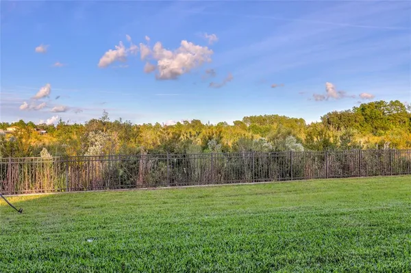 $3,195 | 3124 Hilliard Drive, Wesley Chapel, FL 33543