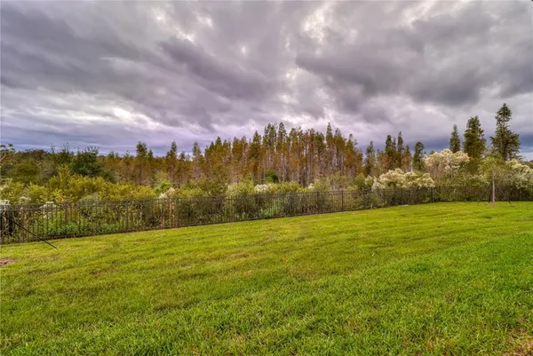 $3,195 | 3124 Hilliard Drive, Wesley Chapel, FL 33543