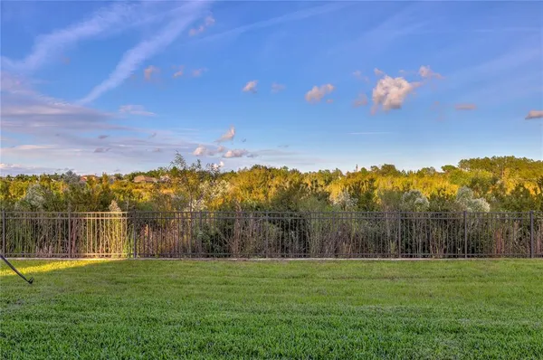 $3,195 | 3124 Hilliard Drive, Wesley Chapel, FL 33543